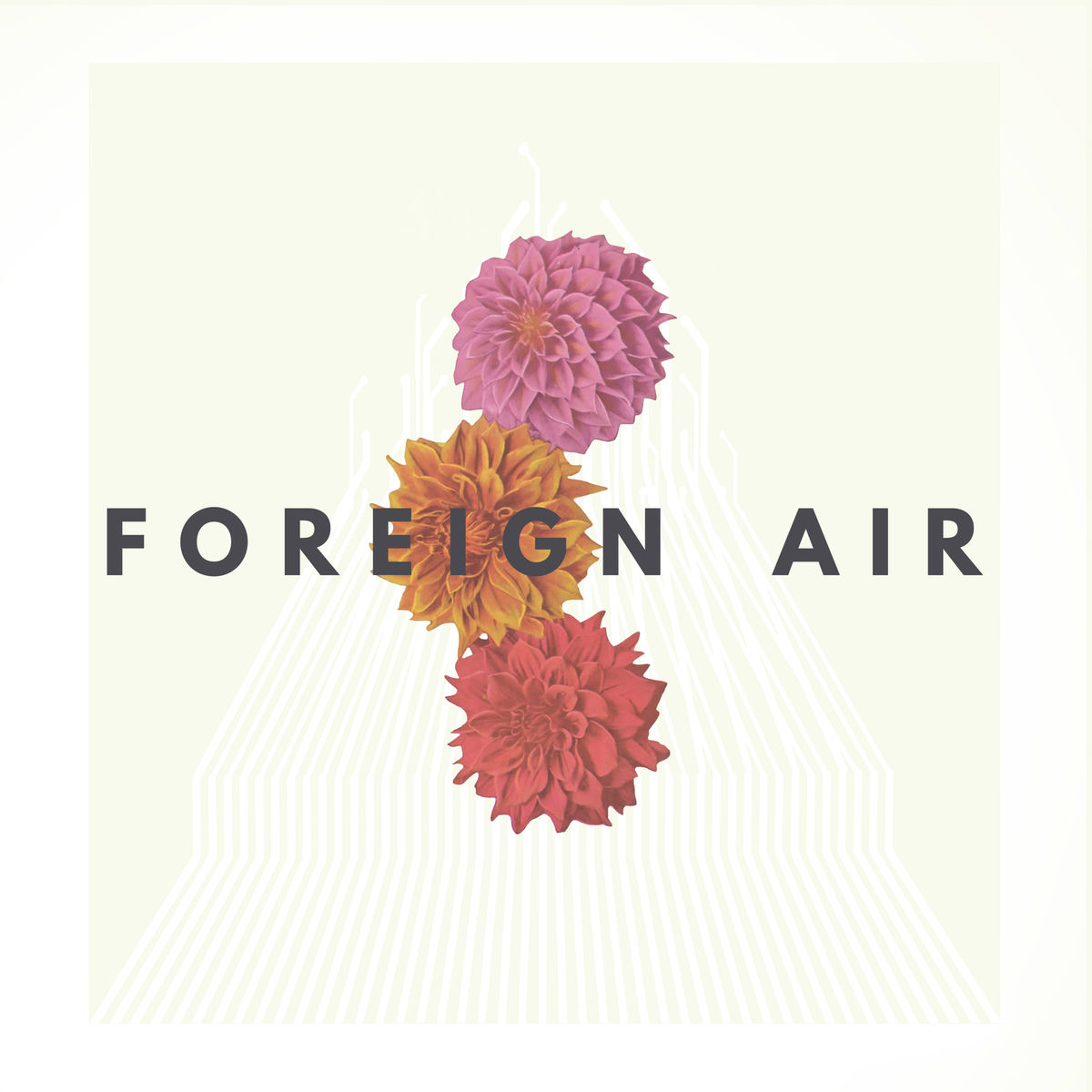 Album cover of Free Animal