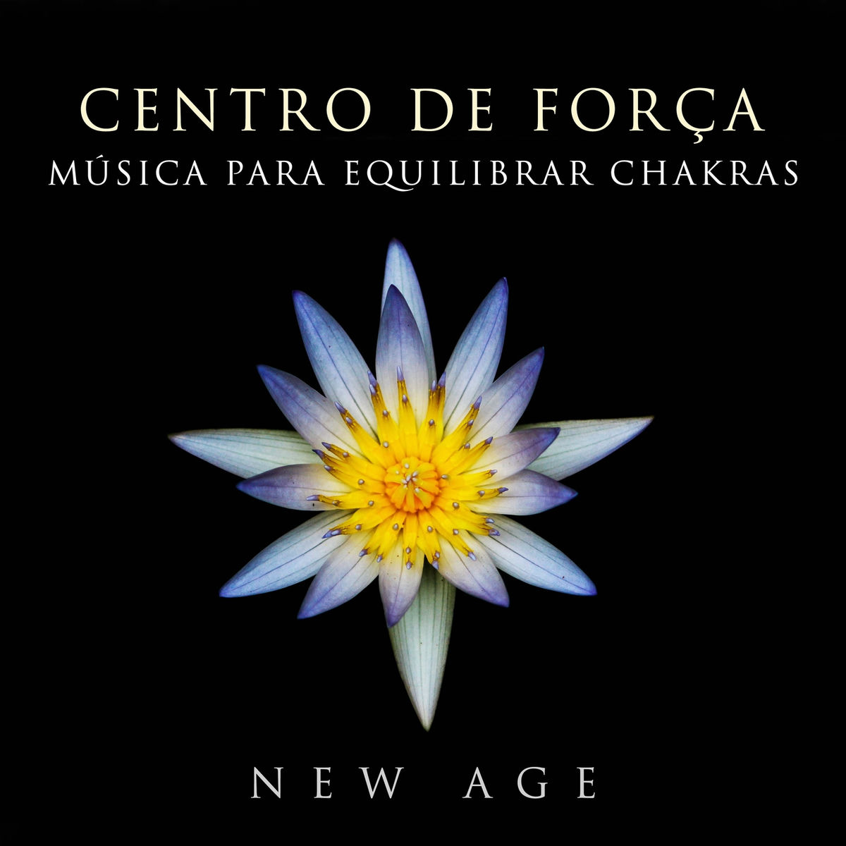 Album cover of Centro de Força - Musica para Equilibrar Chakras