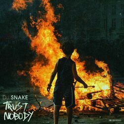 Cover of Trust Nobody