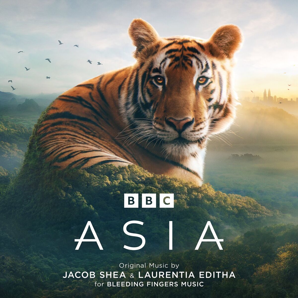 Album cover of Asia (Original Television Soundtrack)