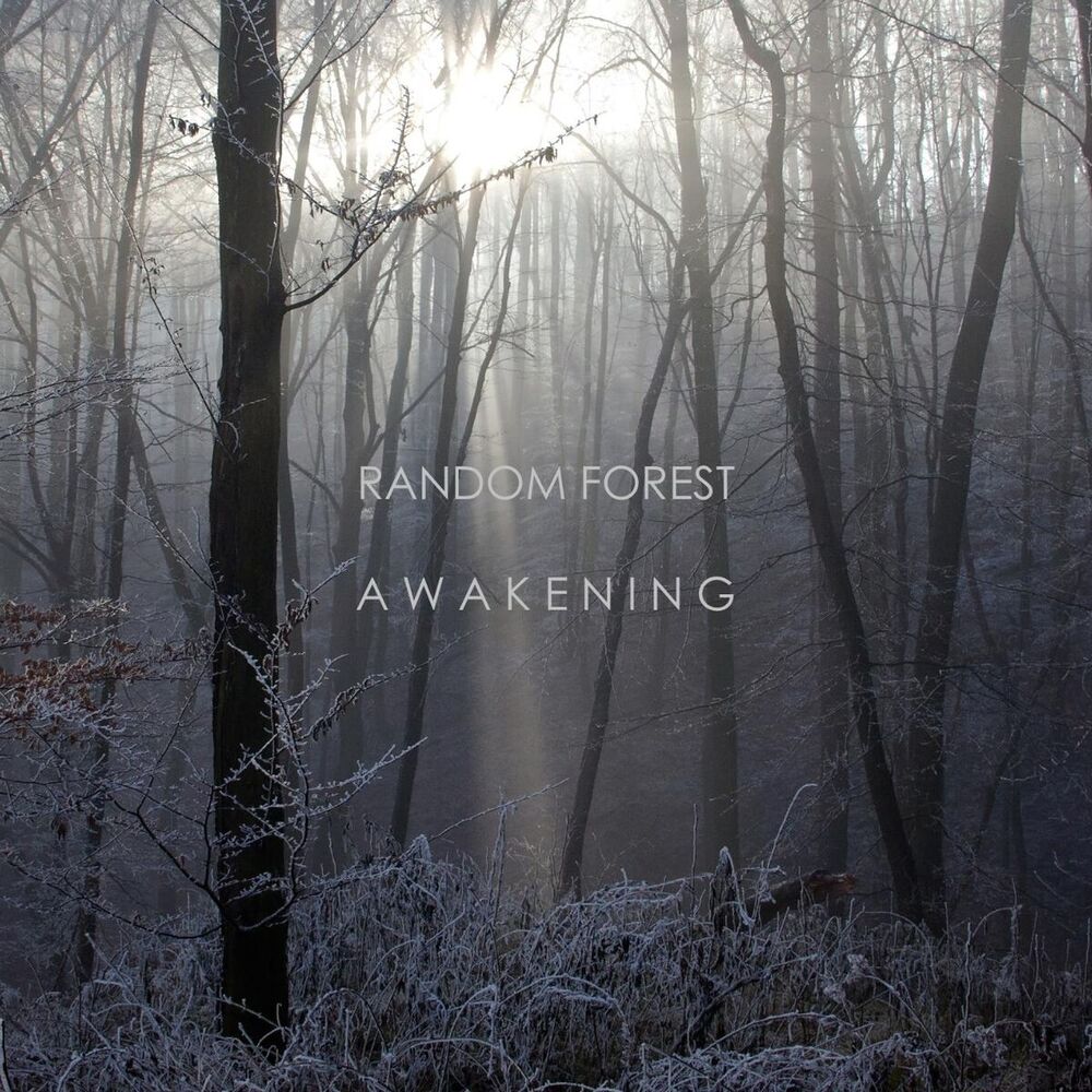 Picture of Awakening