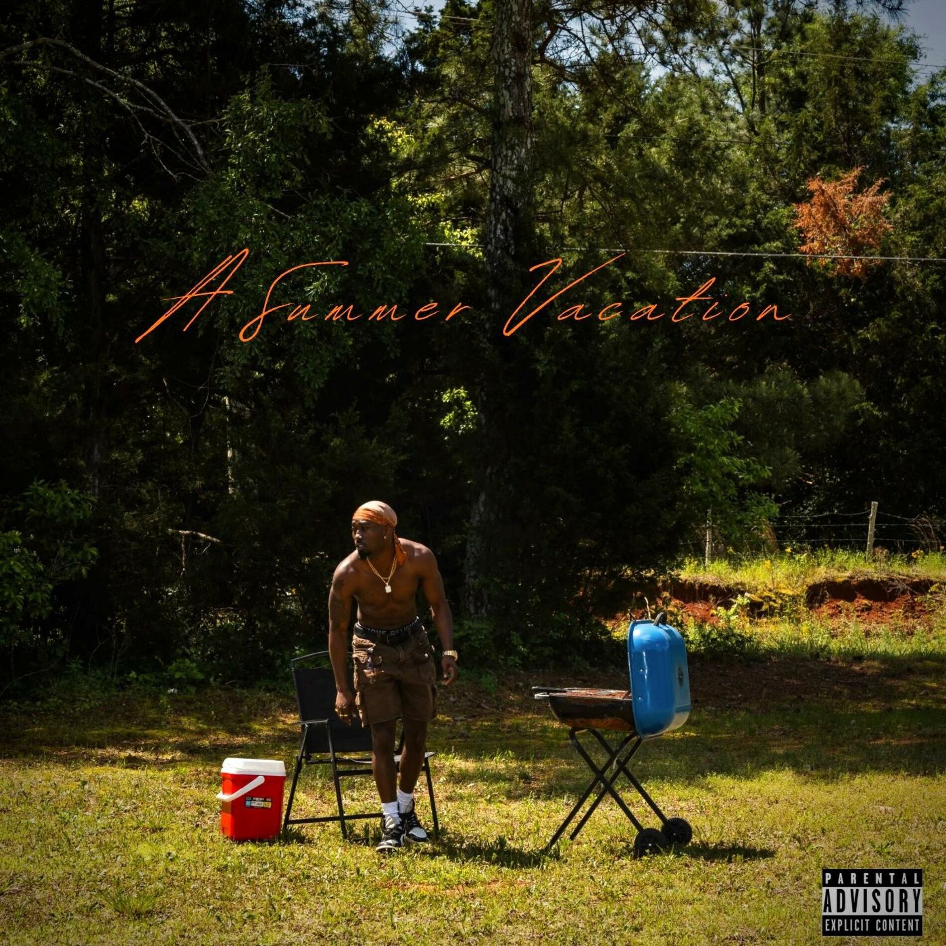 Album cover of A Summer Vacation
