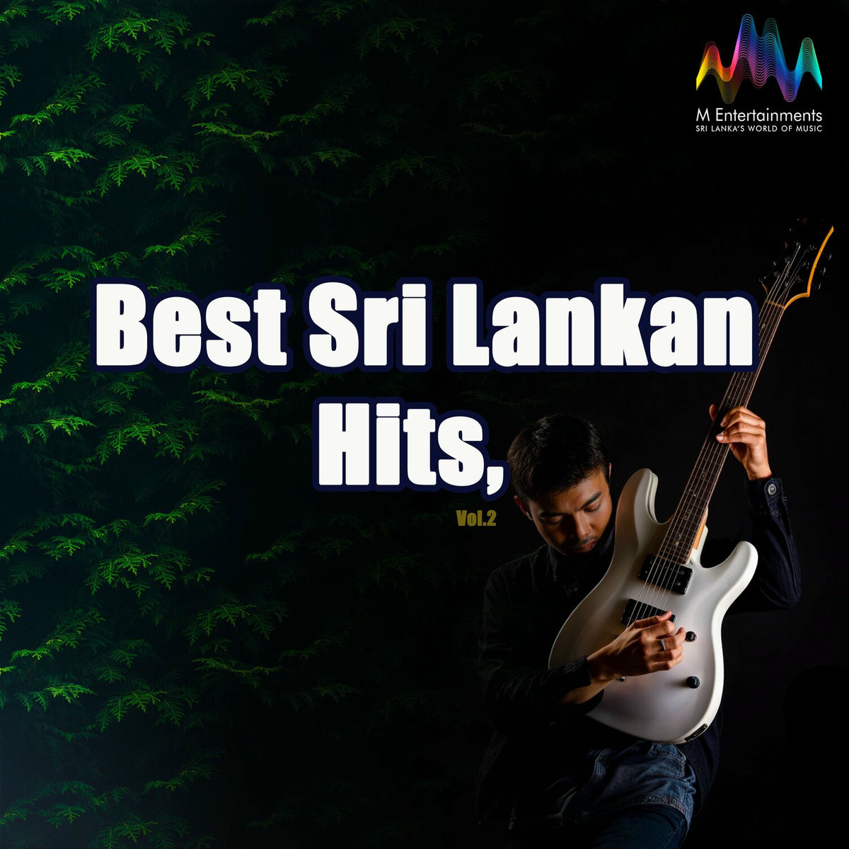 Album cover of Best Sri Lankan Hits, Vol. 2