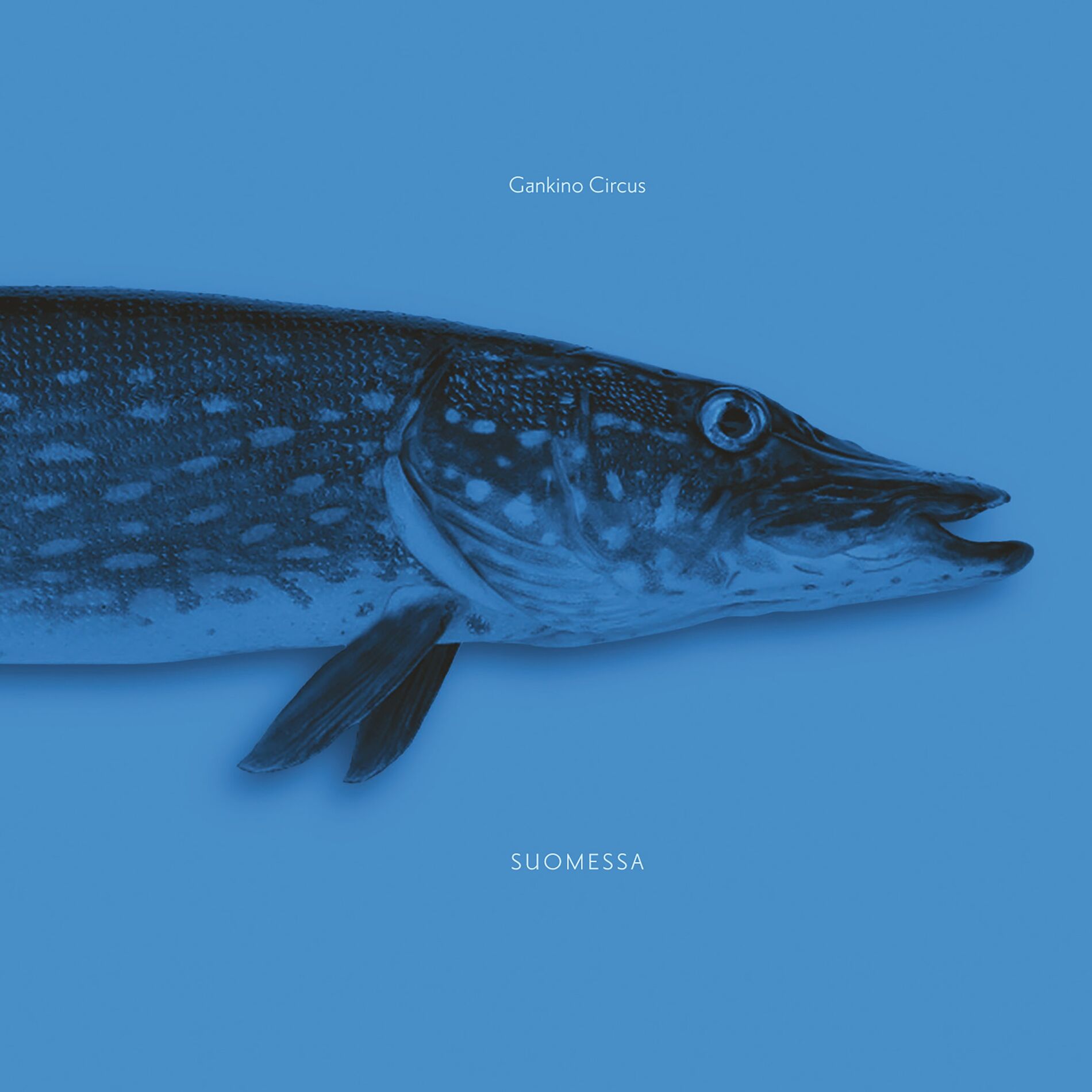 Album cover of Lapuan pojat