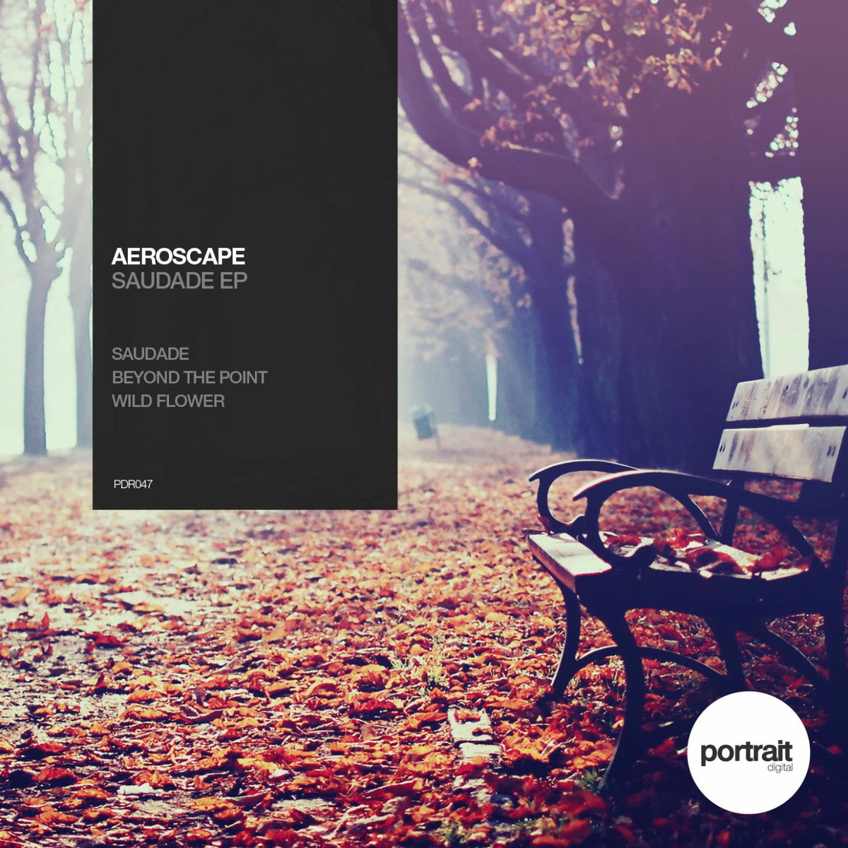 Album cover of Saudade