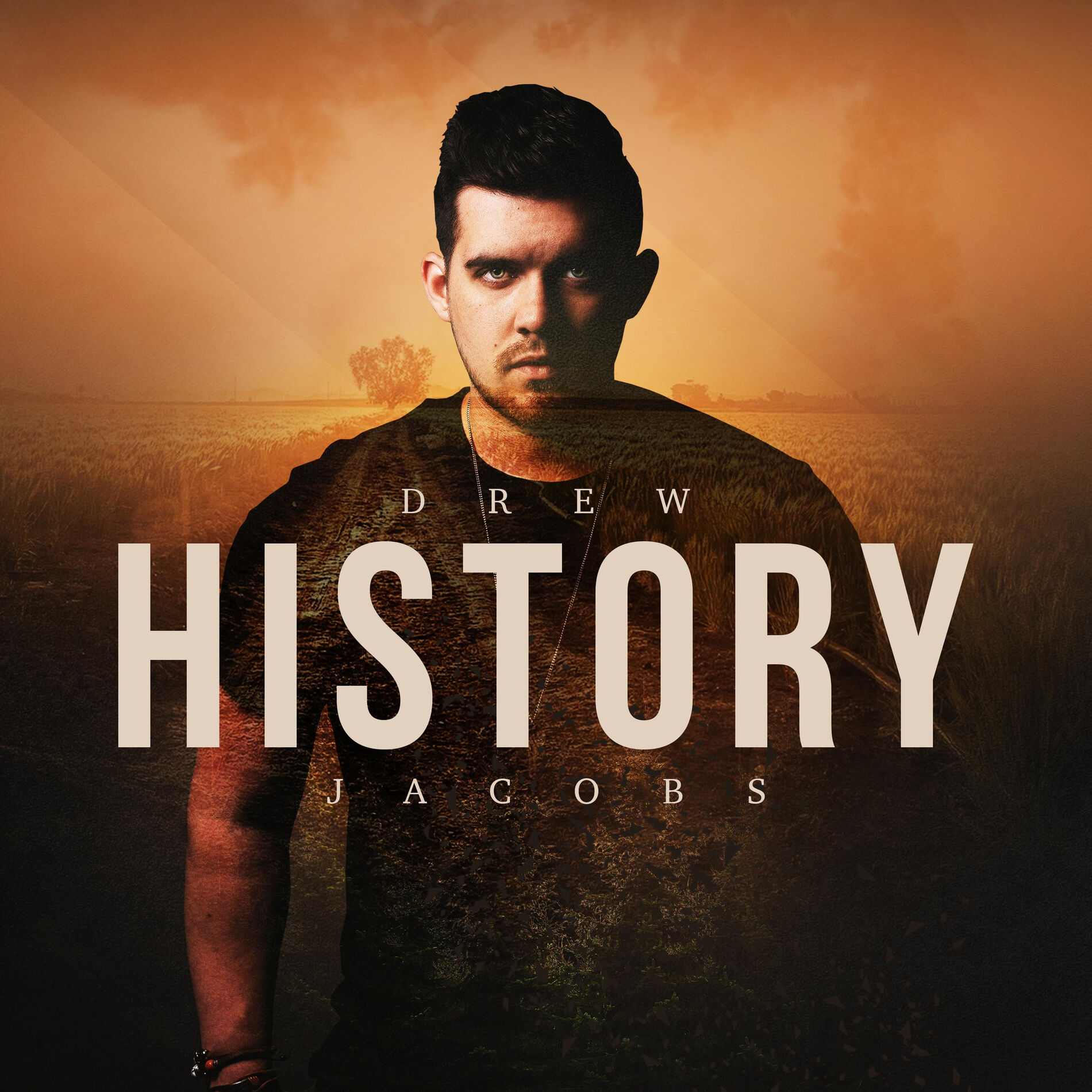 Album cover of History