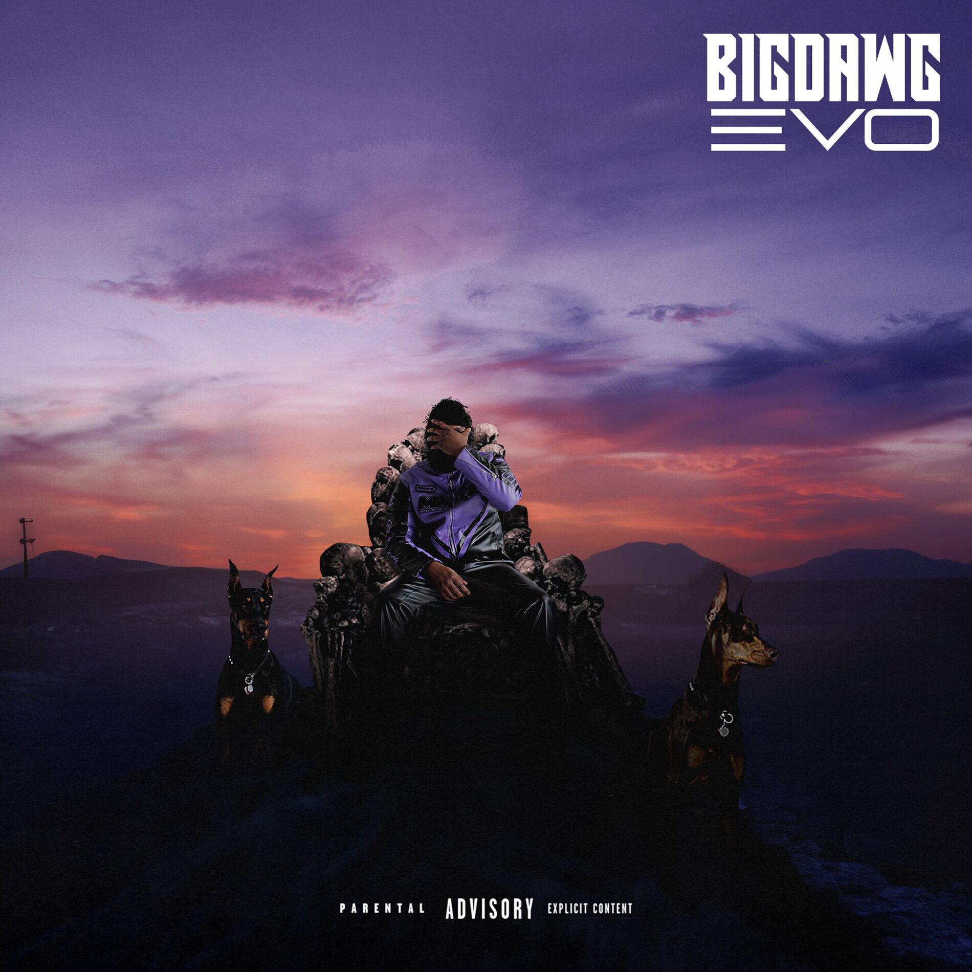 Album cover of BIGDAWG EVO