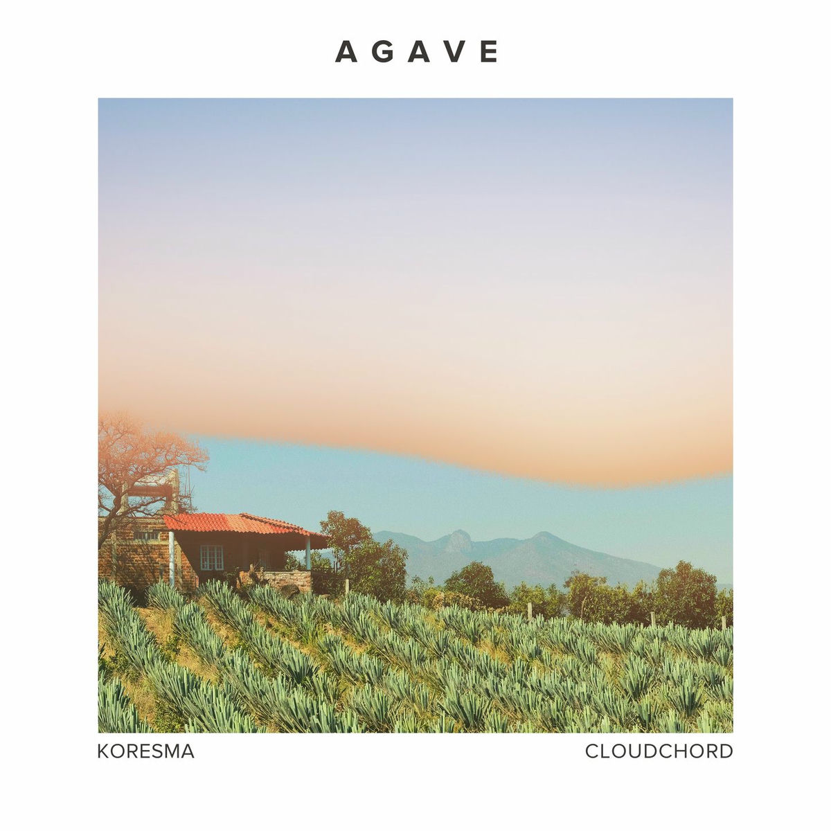 Album cover of Agave