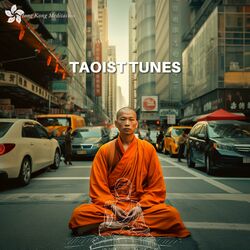 Cover of Taoist Tunes: Embracing Balance and Inner Peace