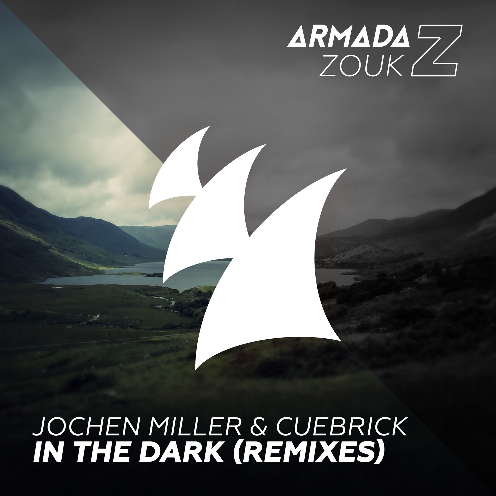 Album cover of In The Dark (Remixes)