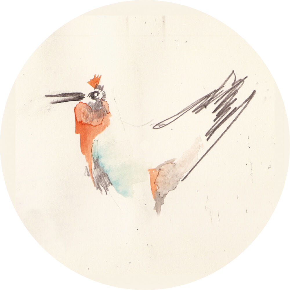 Picture of Shake the Birds of the Tree