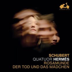 Cover of Schubert: Rosamunde & Der Tod und das Mädchen