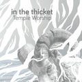 In the Thicket