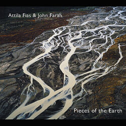 Cover of Pieces of the Earth