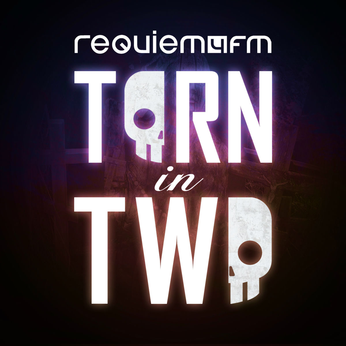 Album cover of Torn in Two
