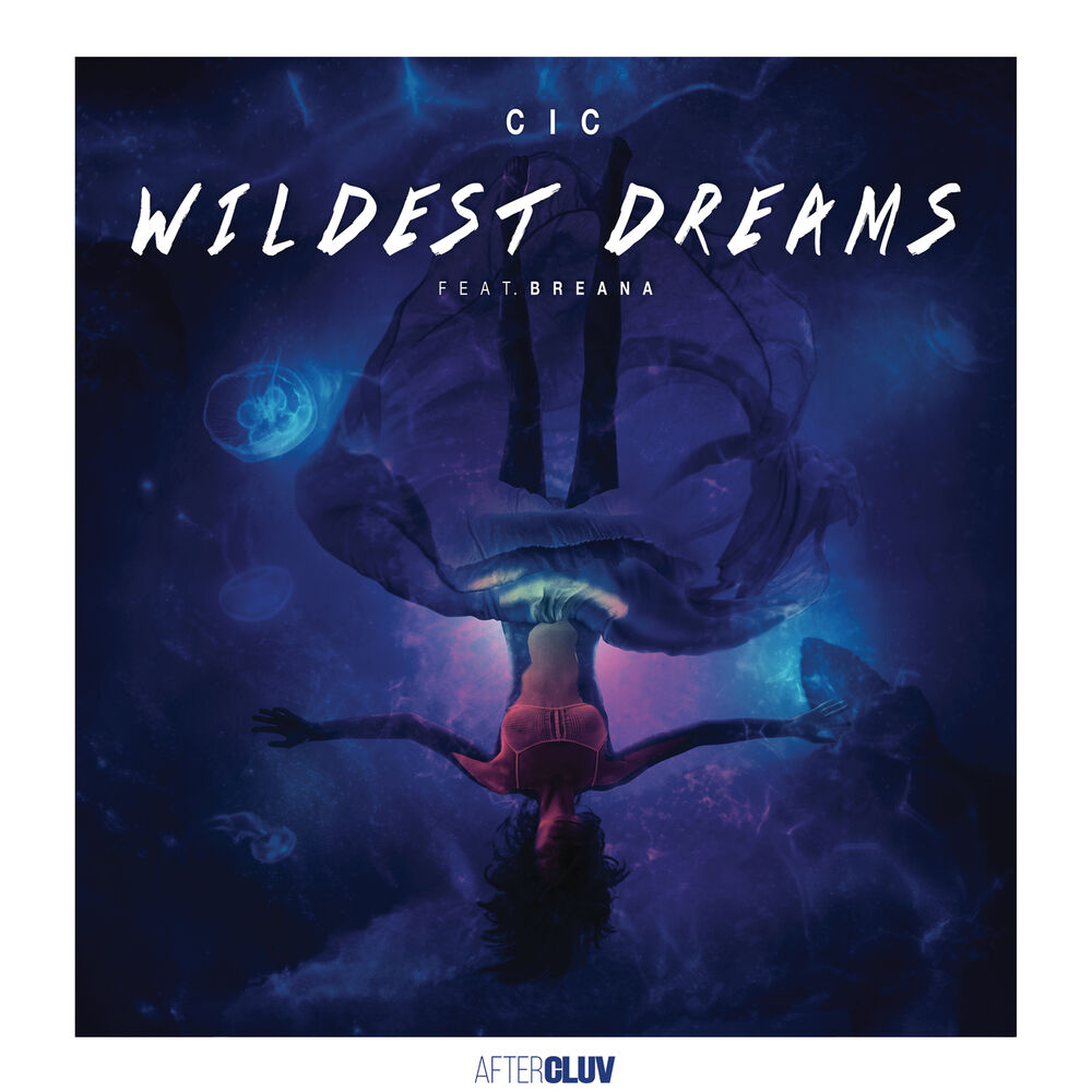 Picture of Wildest Dreams (Radio Edit)