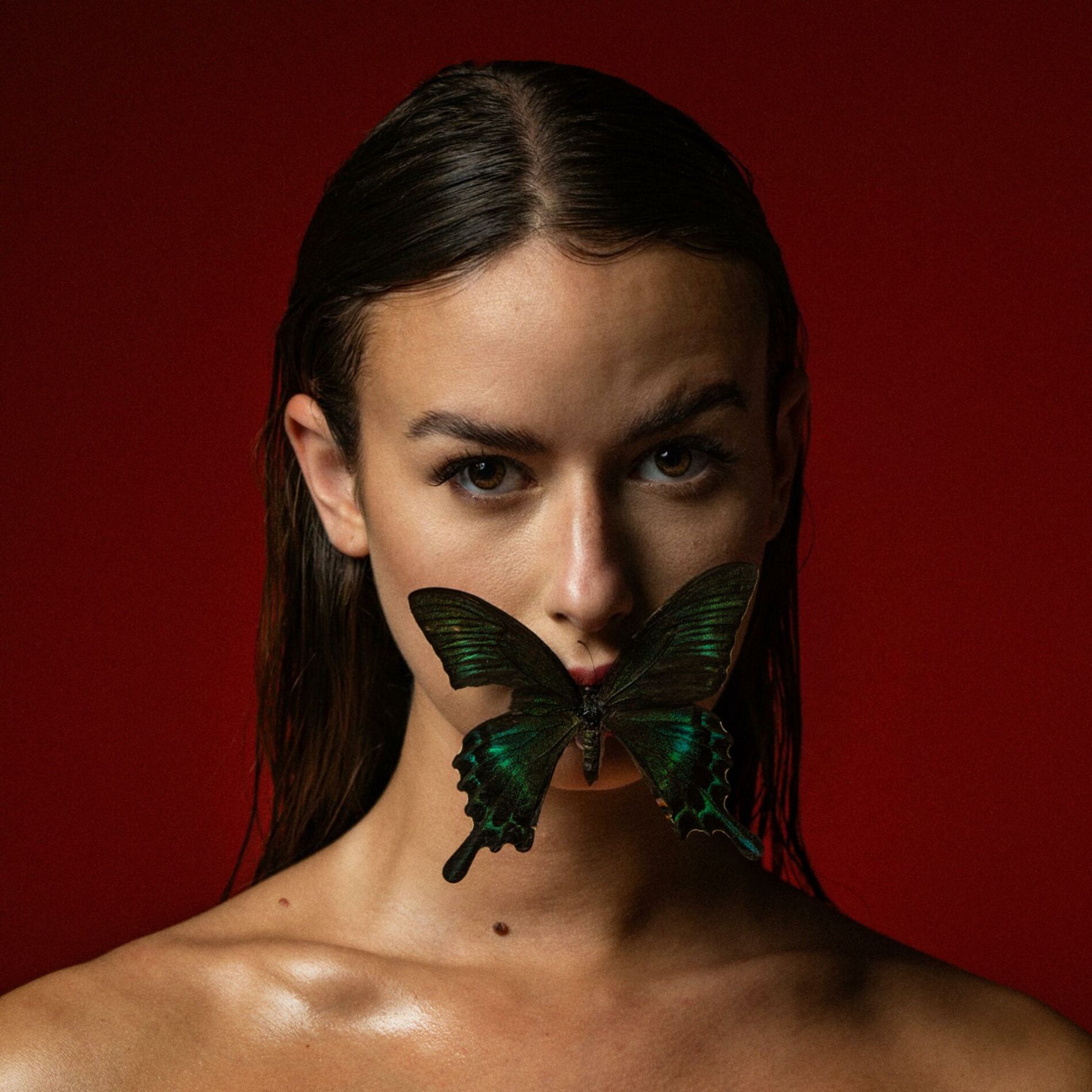 Album cover of Hydre