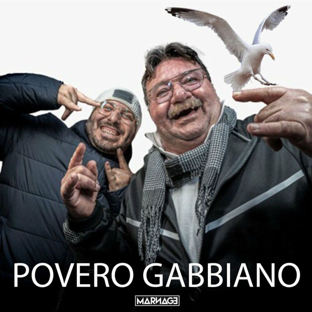 Picture of Povero Gabbiano