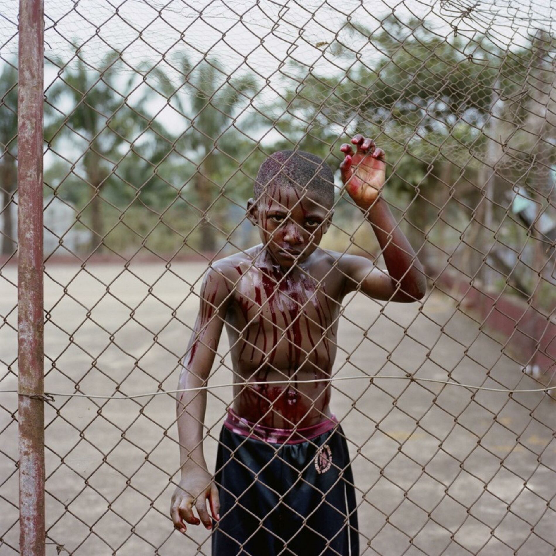Album cover of PARADISE