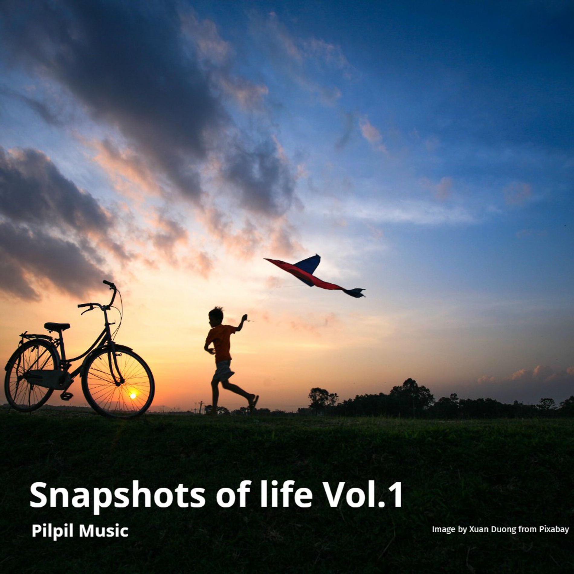Album cover of Snapshots of Life Vol.1