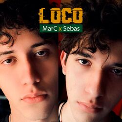 Cover of Loco
