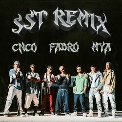 Cover of Suelta, Sola y Tranquila REMIX