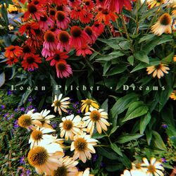 Cover of Dreams - Bossa Nova Version