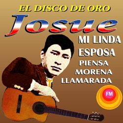 Cover of El Disco de Oro