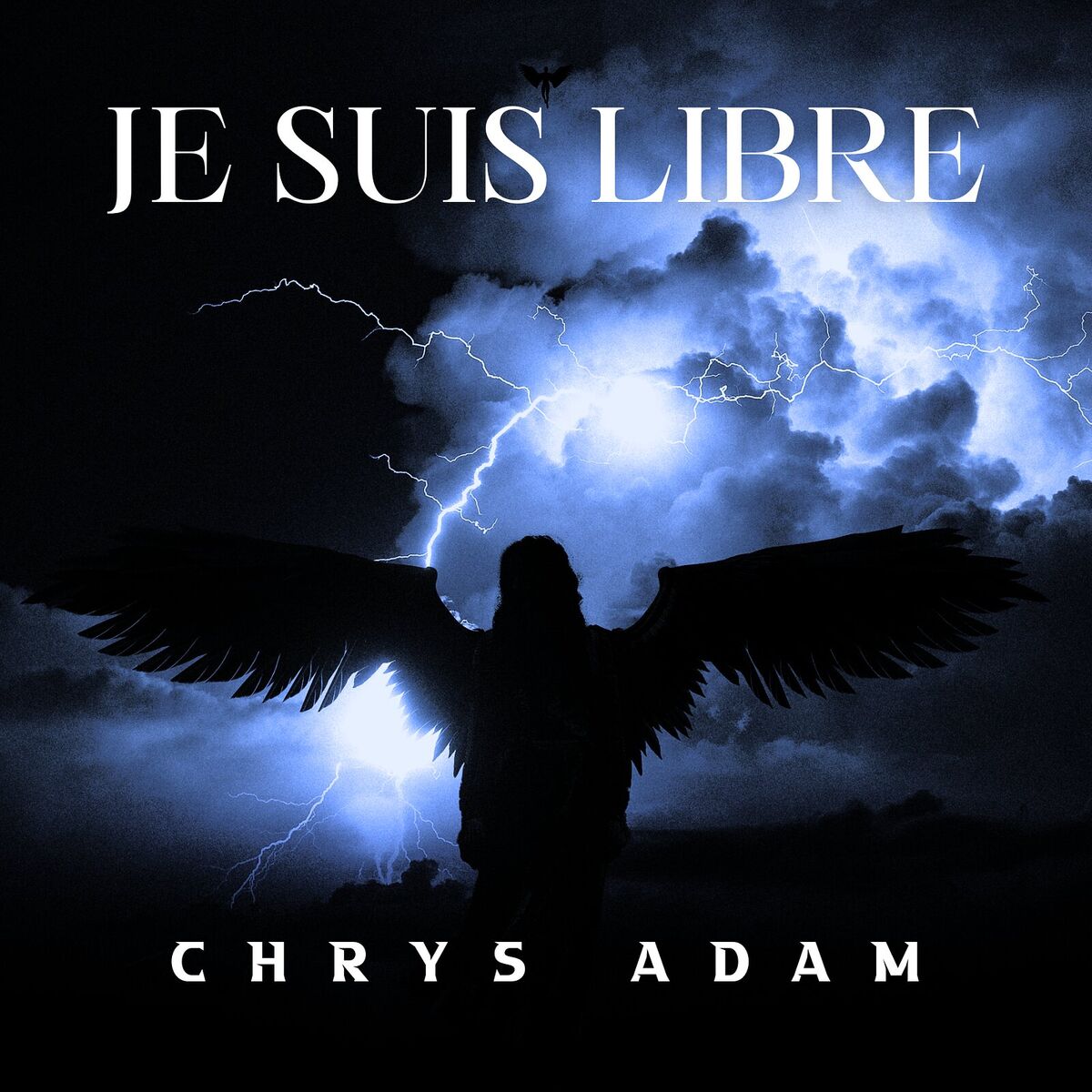 Album cover of JE SUIS LIBRE