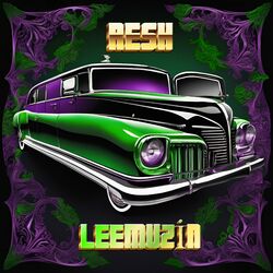 Cover of Leemuzin