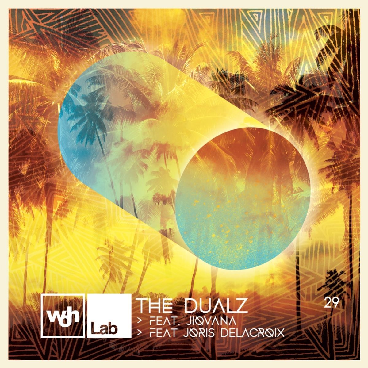 Album cover of Woh Lab 29