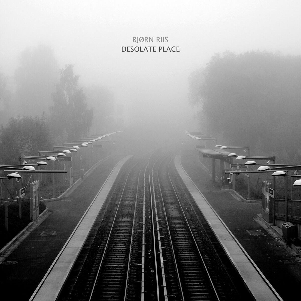 Album cover of Desolate Place