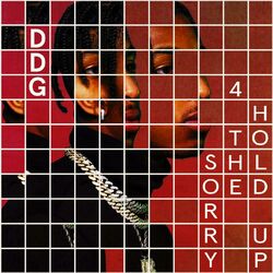 Cover of Sorry 4 The Hold Up