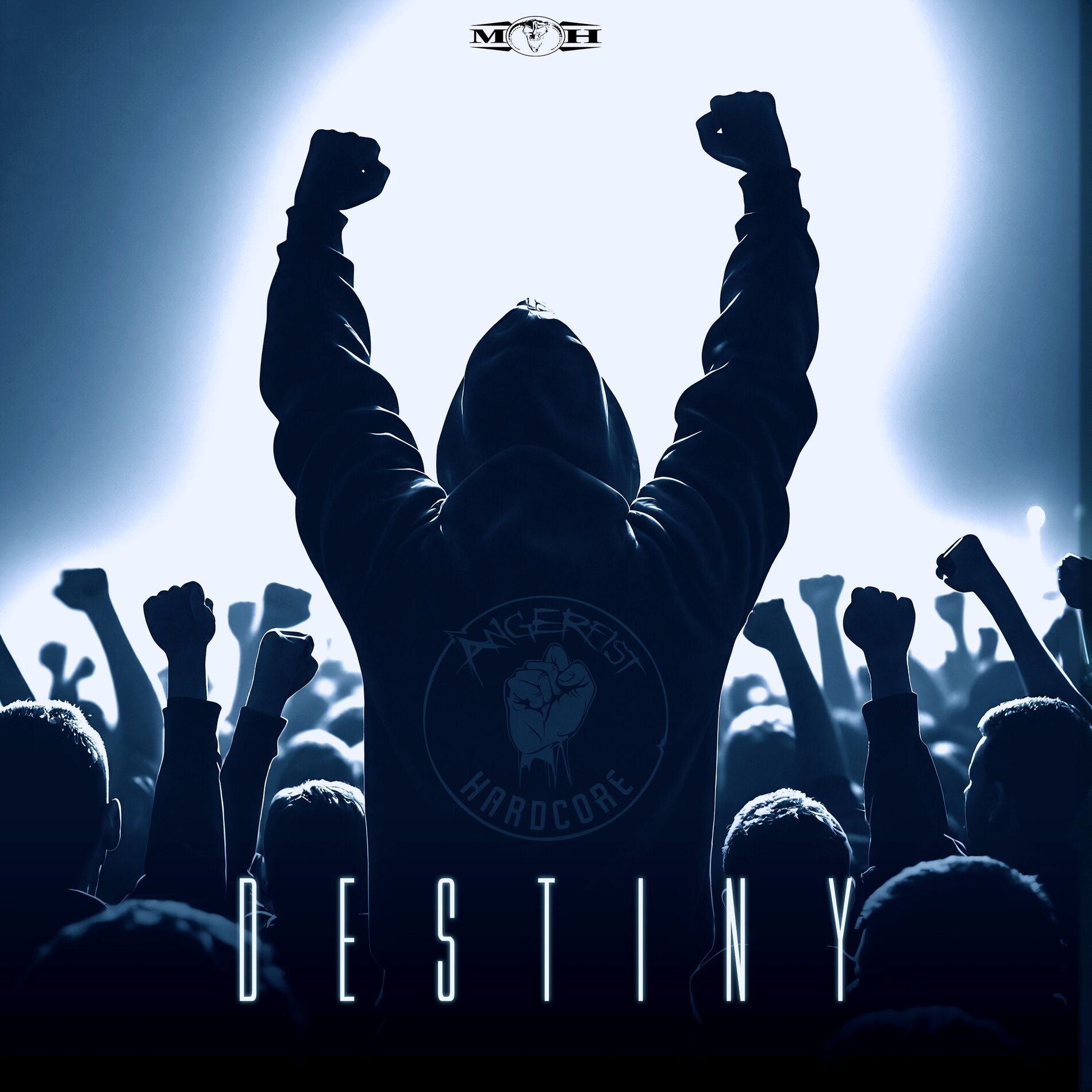 Album cover of Destiny