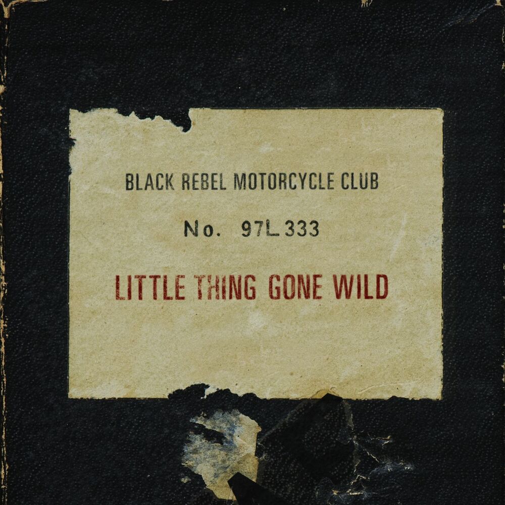 Picture of Little Thing Gone Wild
