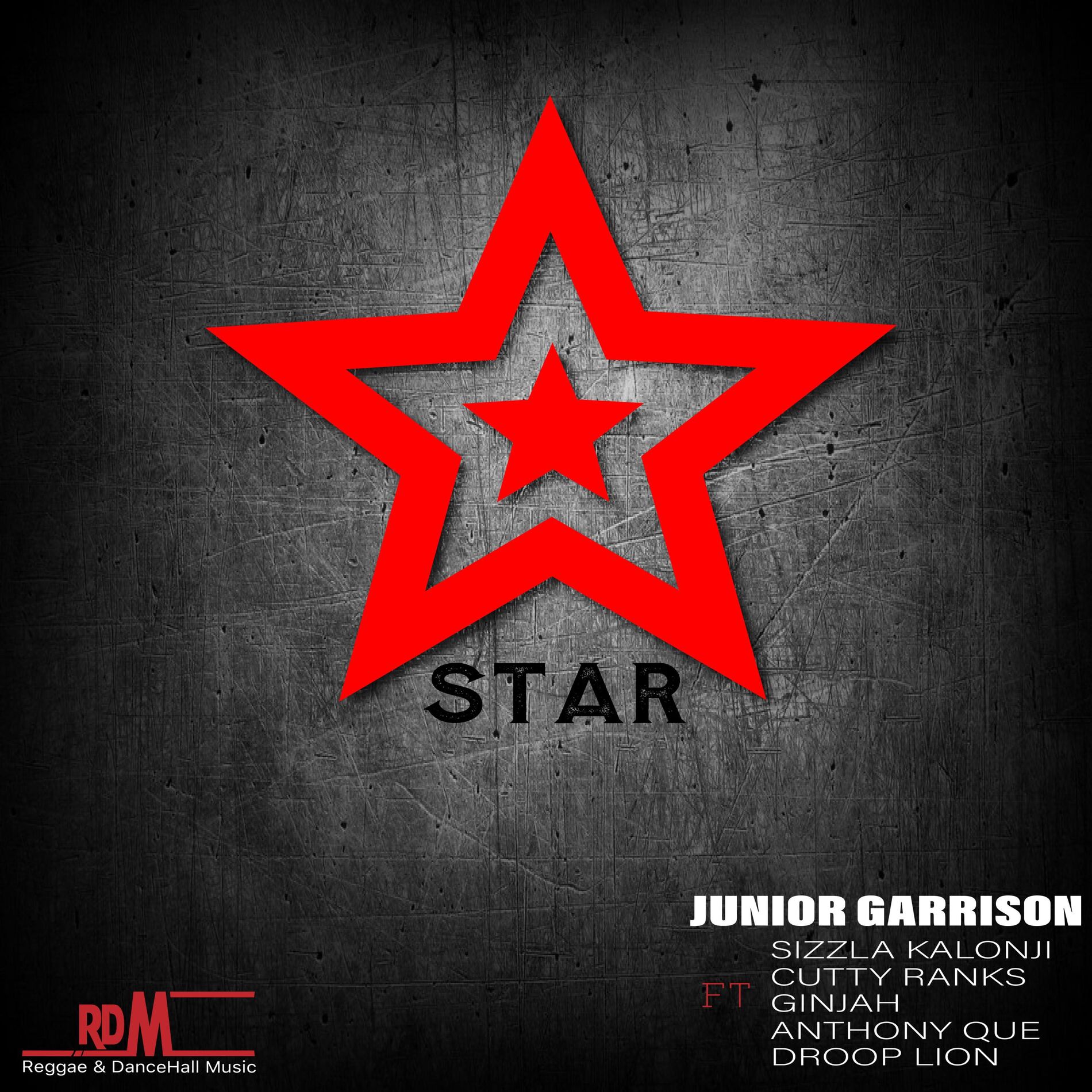 Album cover of Star (feat. Sizzla Kalonji, Cutty Ranks, Ginjah, Anthony Que & Droop Lion)