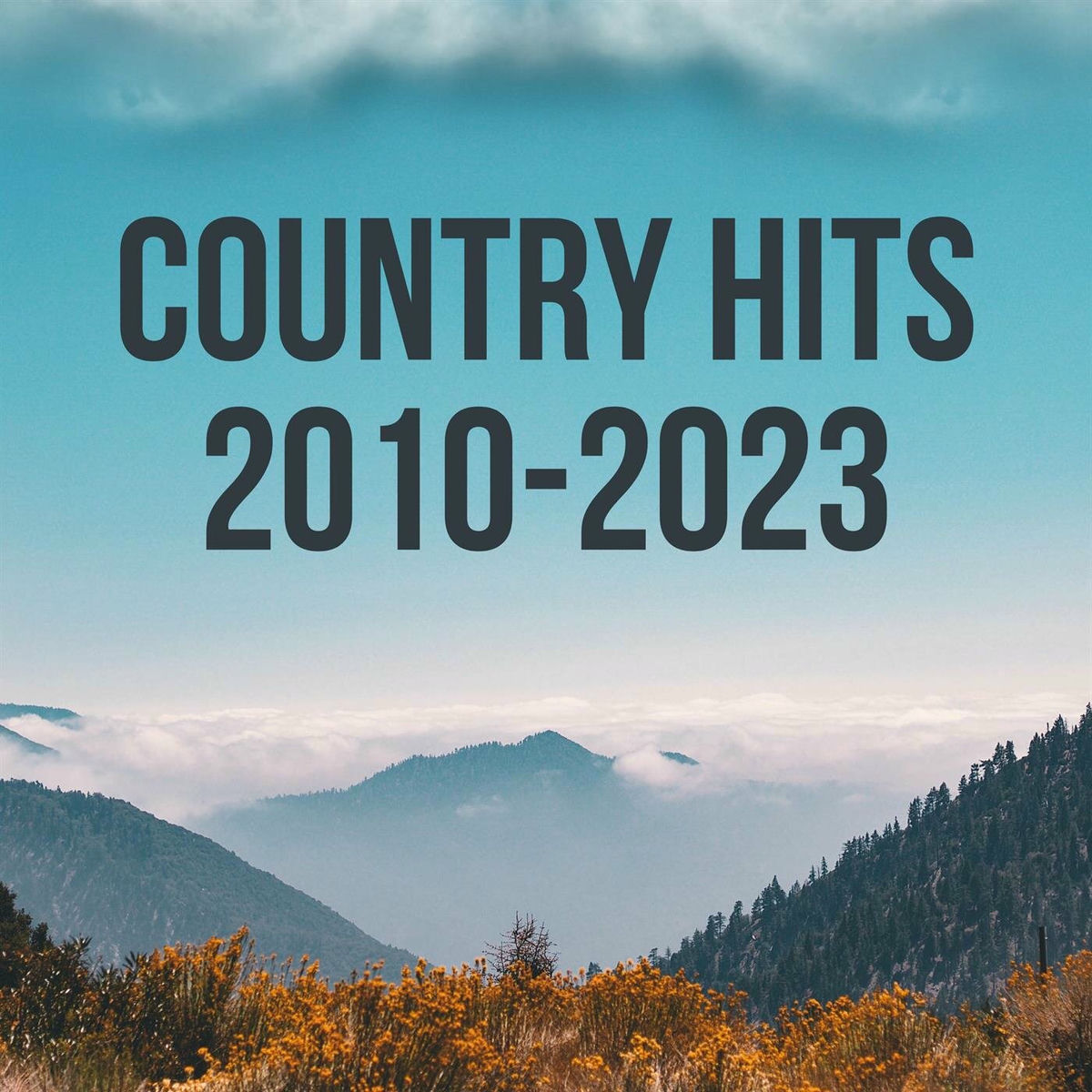 Album cover of Country Hits 2010 - 2023