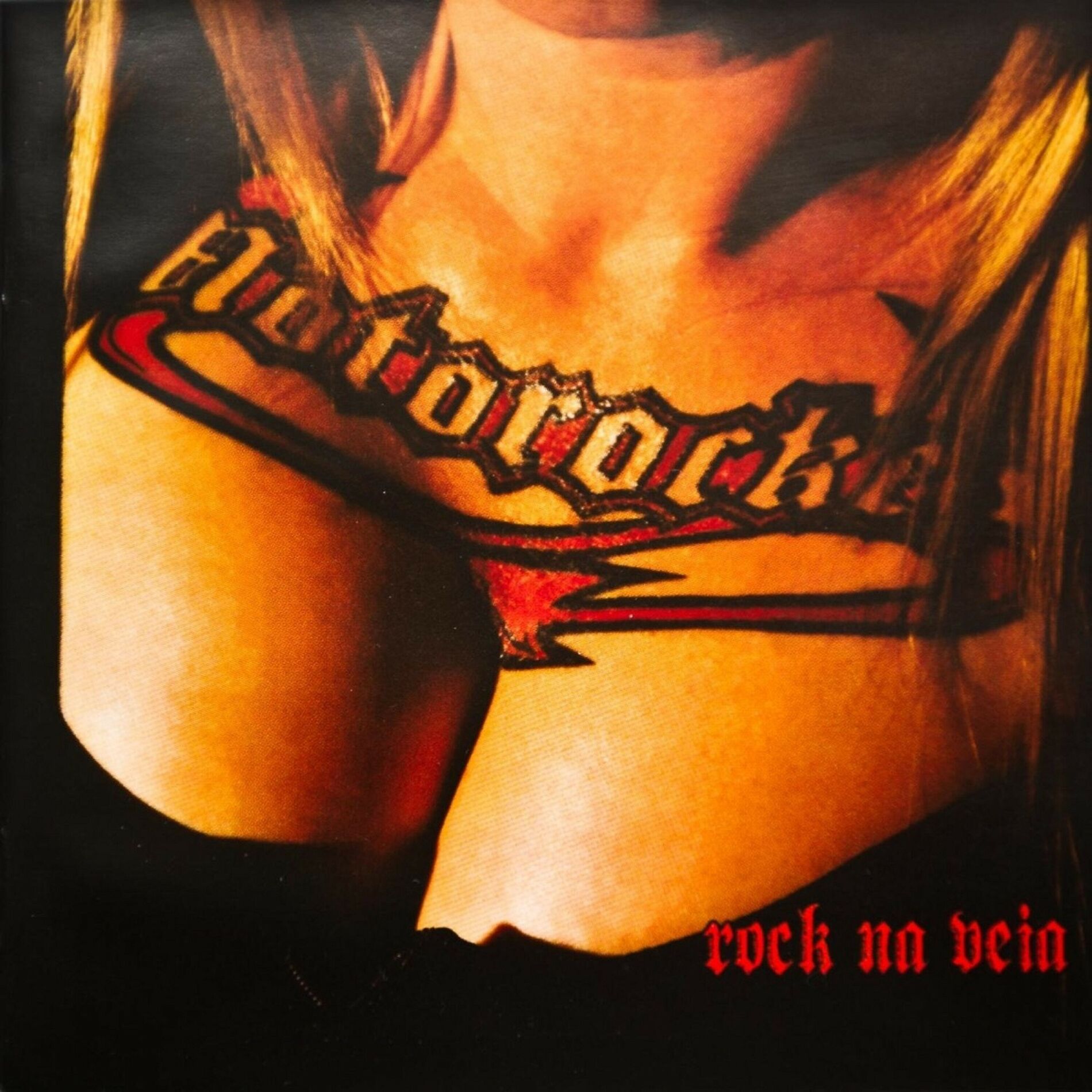 Album cover of Rock Na Veia