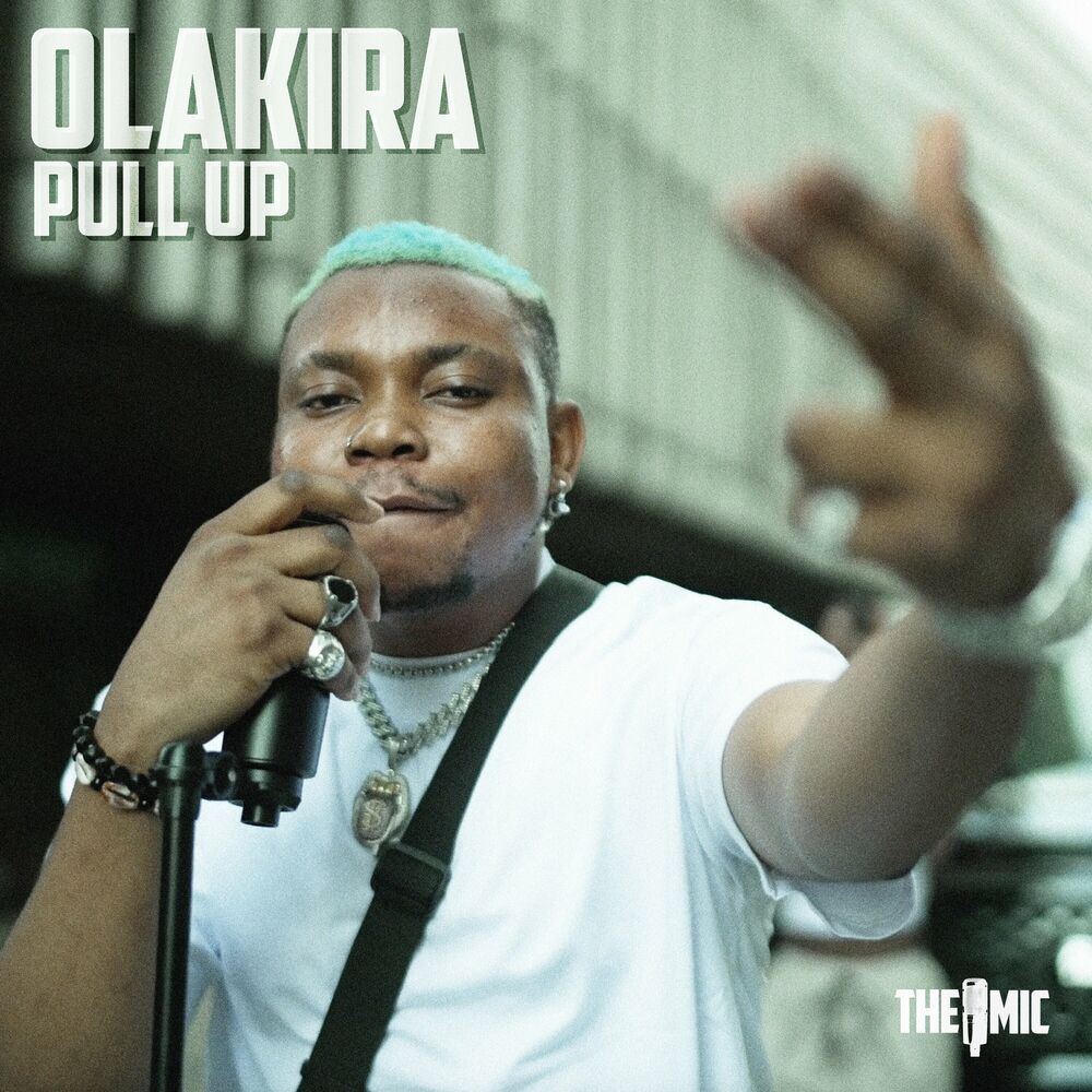 Picture of Pull Up