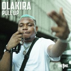 Cover of Pull Up
