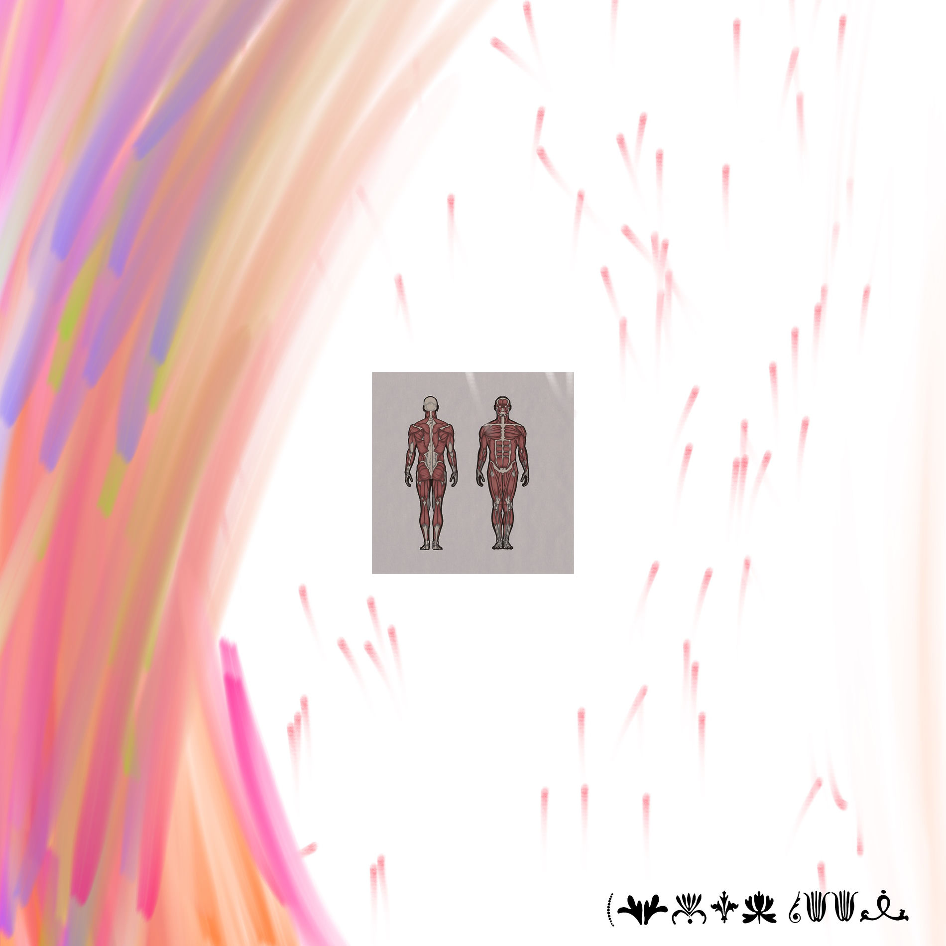Album cover of Anatomy & Friends