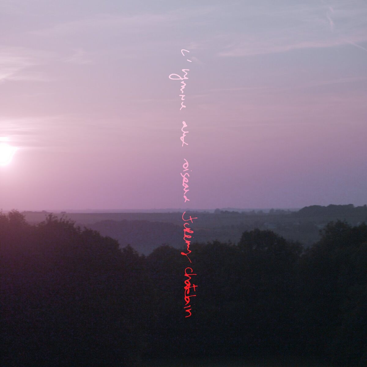 Album cover of l'hymne aux oiseaux