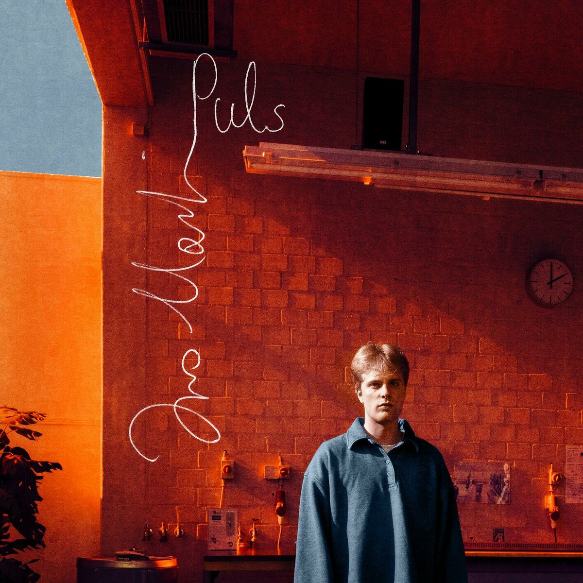 Album cover of Puls
