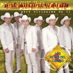 Cover of Para Olvidarme De Ti