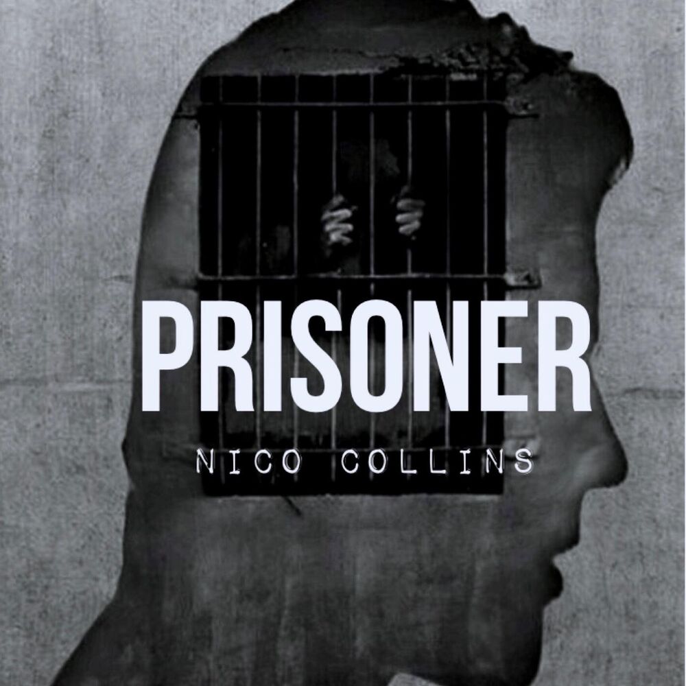 Picture of Prisoner