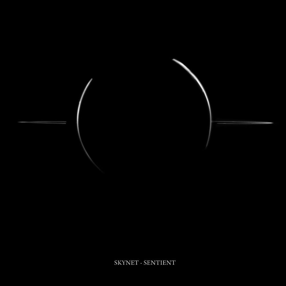 Picture of 1 Hour DJ Mix Of Sentient Album - Mixed By Skynet