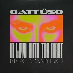 Cover of In Love With The Night (feat. Camylio)