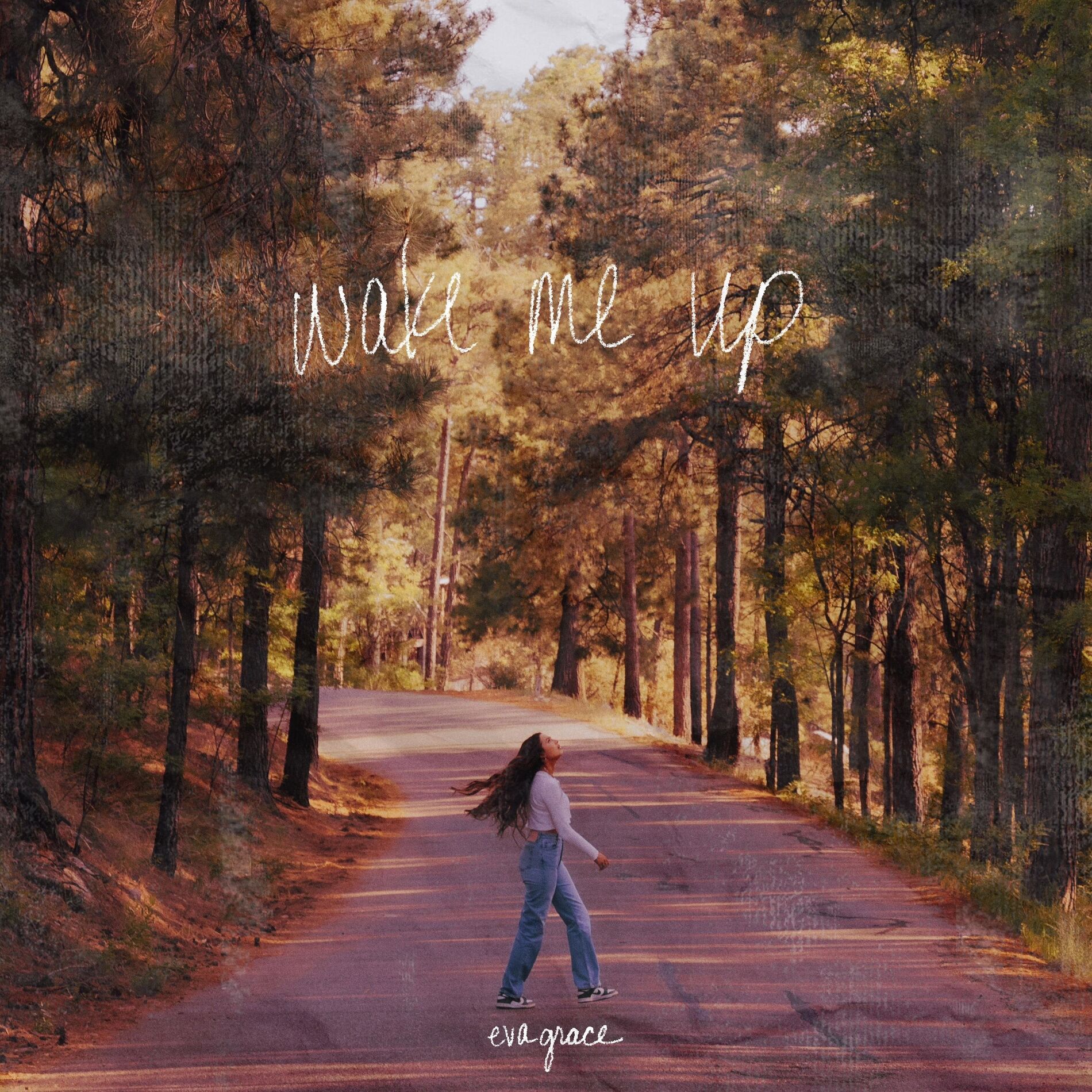 Album cover of wake me up