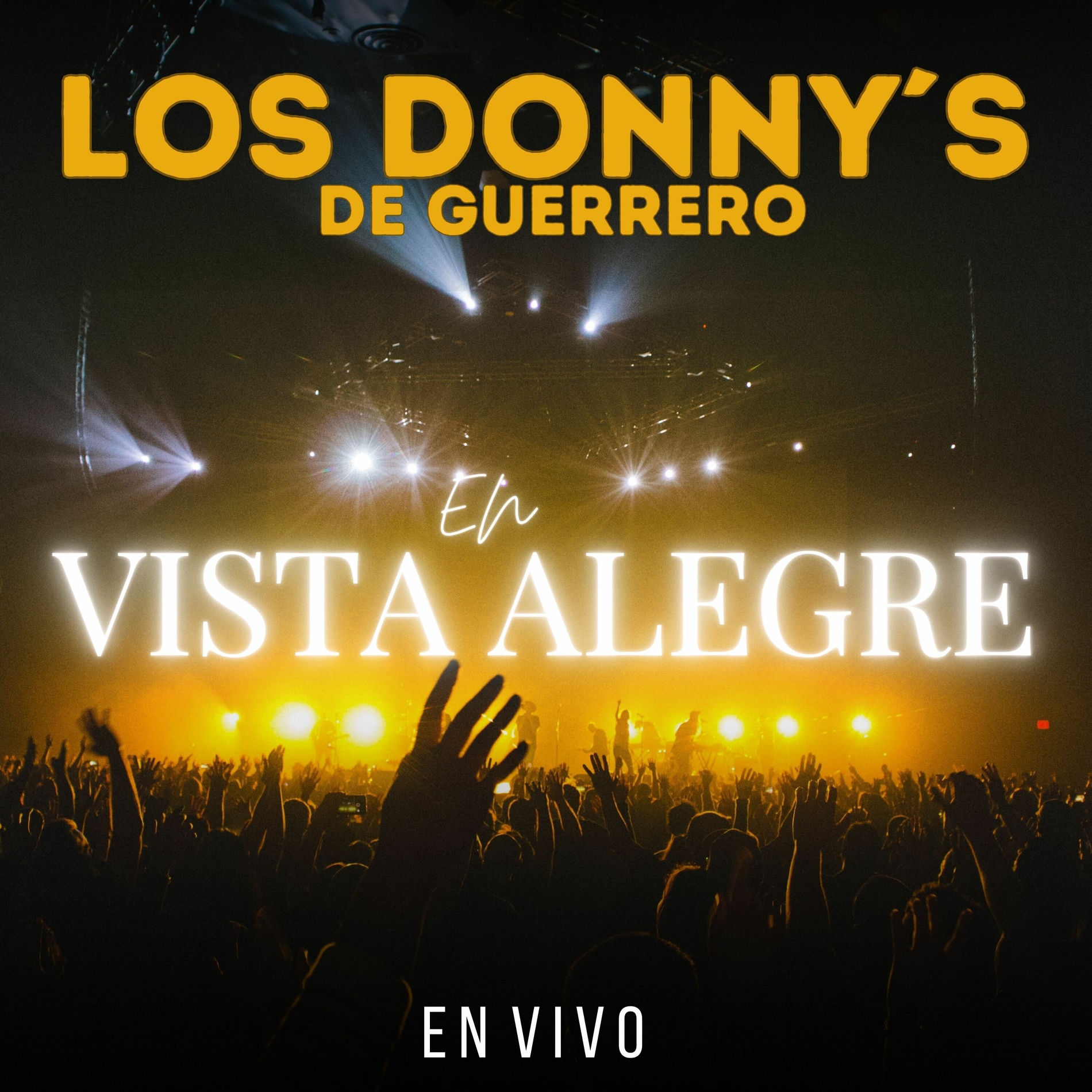 Album cover of En Vista Alegre (En Vivo)
