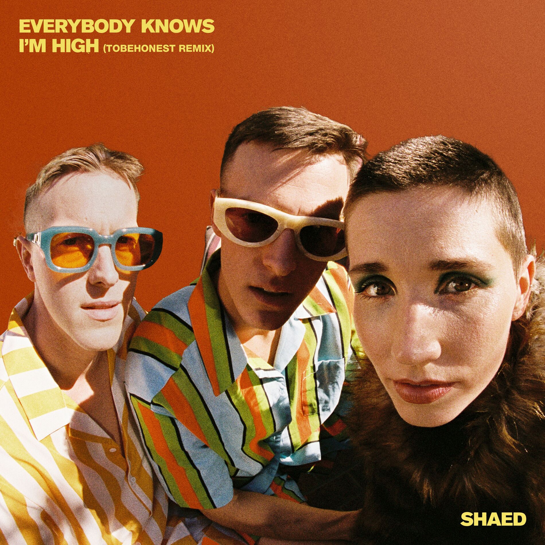 Album cover of Everybody Knows I'm High (TOBEHONEST Remix)